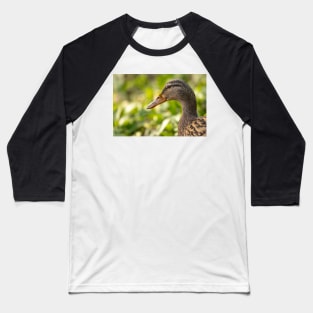 Female mallard duck portrait Baseball T-Shirt